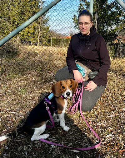 Psijaciele bez spiny